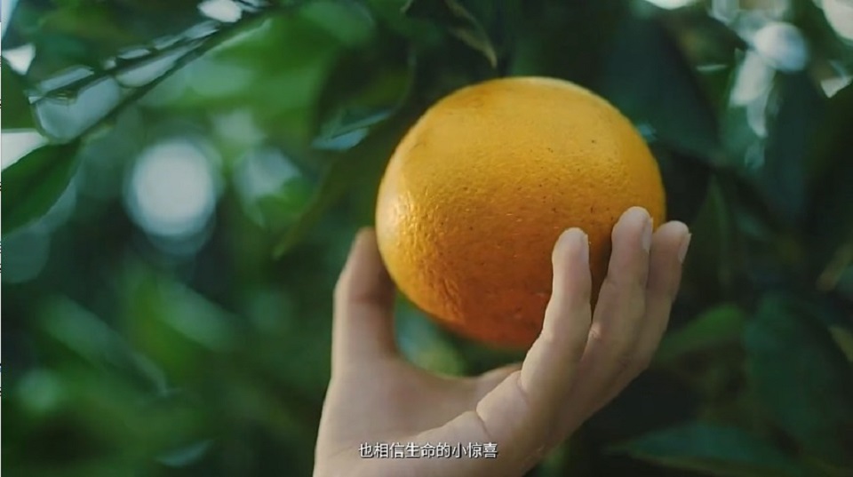 农业企业宣传片